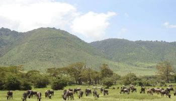 9 Days Tanzania Safari Tour