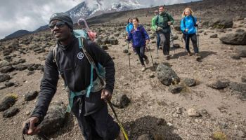 7 Days Kilimanjaro - Lemosho Route Tour