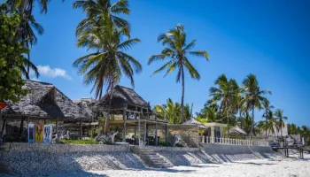 1 Day Zanzibar - Safari Blue Tour