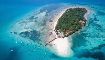 Zanzibar Package 2 Days - 1 Night