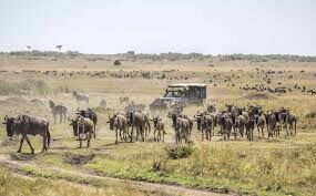 The Great Rift Valley Circuit - Lake Nakuru - Lake Naivasha Tour