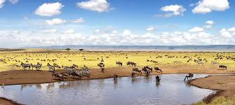 The Diverse Adventure - Lake Nakuru - Maasai Mara Tour