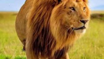 Samburu Tour Packages