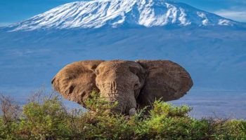 Samburu Tour Packages