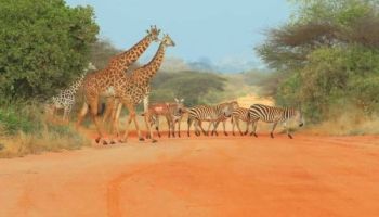Samburu Tour Packages