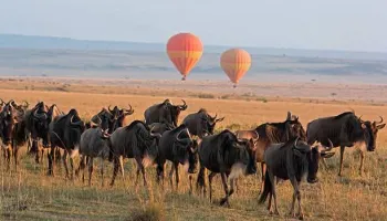 Kenya Budget Package For 5 Days Trip From Nairobi
