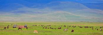 Manyara Tour Packages