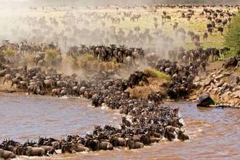 Ngorongoro Tour Packages