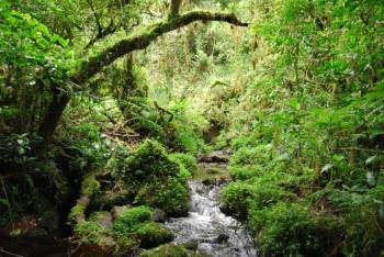1 Day Mandara Day Trip