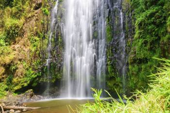 1 Day Materuni Day Trip