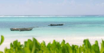 Mafia Island Tour Packages