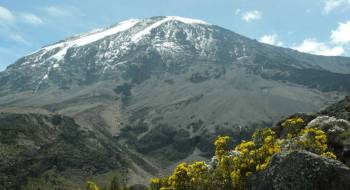 Machame Route 7 Days - 2 Hotel Nights Tour