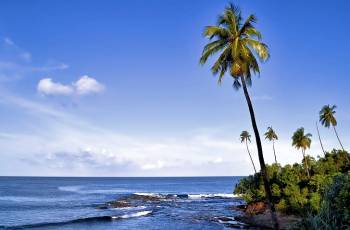 3 Night Andaman Delight Tour