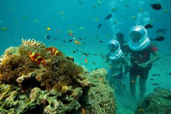 7 Night Island Signature Backpacking With Scuba And Sea Walking Tour