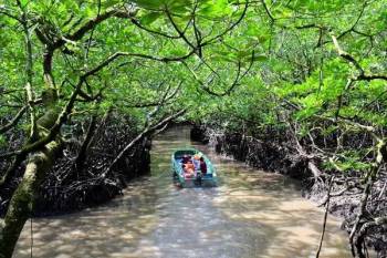 8 Days Enchanting Andaman Inc Parrot Island Tour