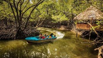 4 Night Explore Baratang And Havelock Island Tour