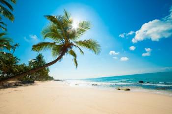 Discover Andaman Adventure 5 Night - 6 Days Tour