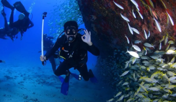 Havelock Tour Packages