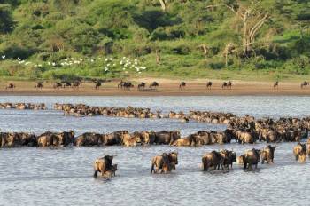 Arusha Tour Packages