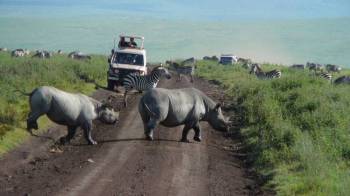 Ngorongoro Tour Packages