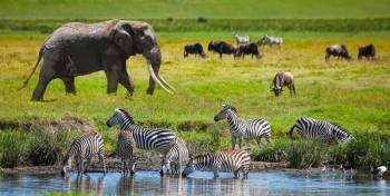 Arusha Tour Packages
