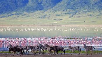 Kilimanjaro Tour Packages