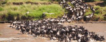 Ngorongoro Tour Packages