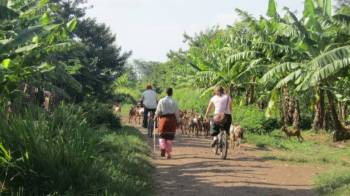 Mto Wa Mmbu Village Day Trip