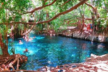 Chemka - Kikuletwa Hot Spring Day Trip