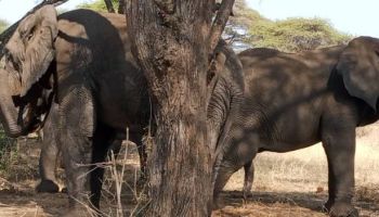 8 Days Of Wilderness In Luxury Tour