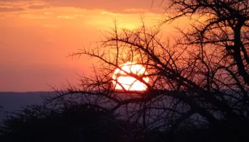 Ngorongoro Tour Packages