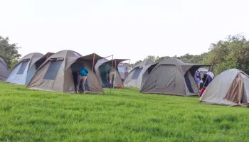 Manyara Tour Packages