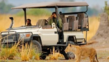 4 Days Luxury Africa Adventure - Migration Tour