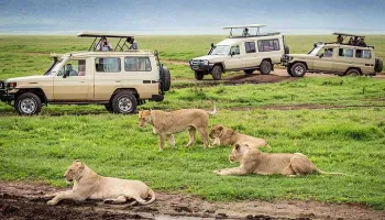 5 Days Luxury Safari For The Sense - Option 1