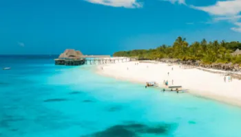 Ngorongoro Tour Packages