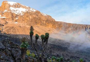 Lemosho Route - 8 Days Best For Success - Views Tour