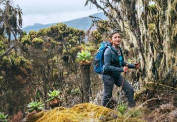 Umbwe Route - 6 Days Steep - Challenging Tour