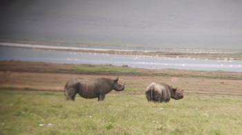 Ngorongoro Tour Packages
