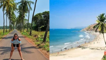 North Goa Tour Packages