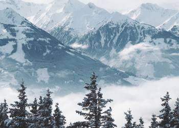 Himachal Shimla Manali Chandigarh 6N - 7D Tour