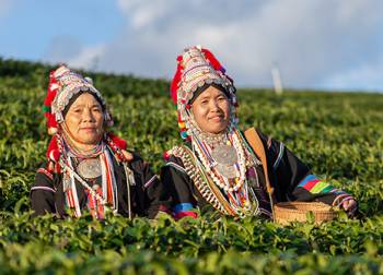 Dynamic Northeast - Darjeeling And Sikkim 7N - 8D Tour