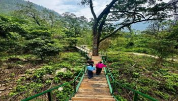 15 Nights/16 days Merak Sakteng Trekking Tour