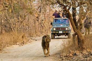 Junagadh - Somnath Tour Package 2 Night - 3 Days