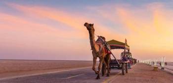 Gir Somnath Tour Packages