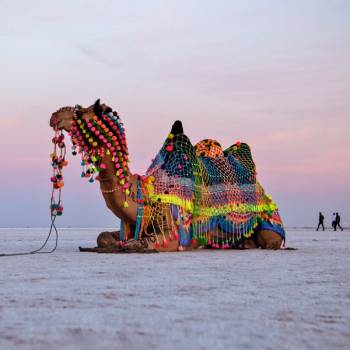 Infinity Gujarat Wild Heritage Trail