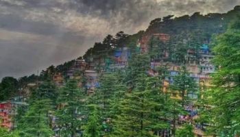 Dharamshala - Mcleodganj Tour From Delhi 2N 3D Volvo Tour