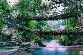 Dawki Tour Packages
