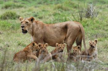 Dar-es-Salaam Tour Packages