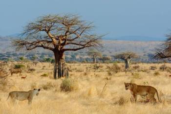 Morogoro Tour Packages
