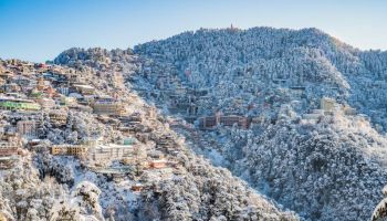 Shimla Luxury Tour Package 3 Night - 4 Days